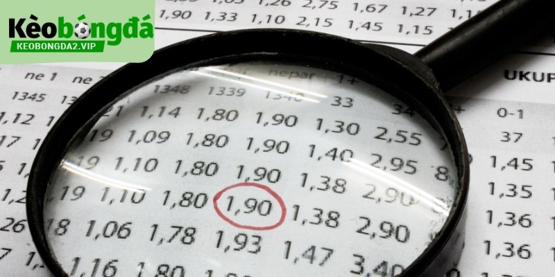 Lối chơi quyết định trực tiếp đến cách đọc kèo bóng 2.5 - 3