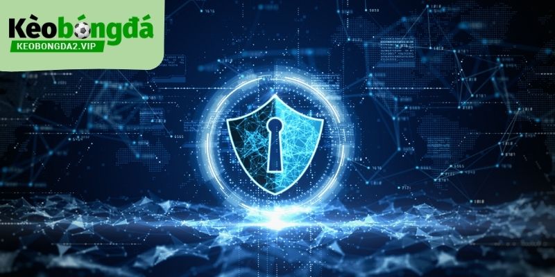 Chính sách bảo mật là trách nhiệm của cả nền tảng và người dùng