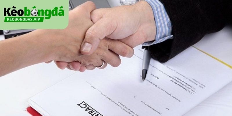 Trách nhiệm và nghĩa vụ của người dùng trong điều kiện điều khoản