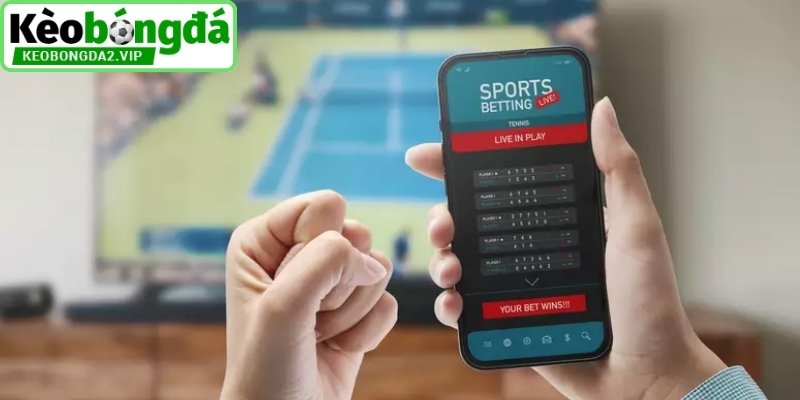 Chiến lược phân tích kèo bóng đá chuẩn xác nhất